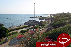 پرورش 63  گونه گل و گياهان زينتي در جزيره کيش