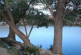 از چشمه غربال بیز دیدن کنید