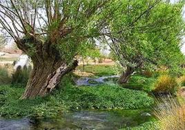 از چشمه غربال بیز دیدن کنید