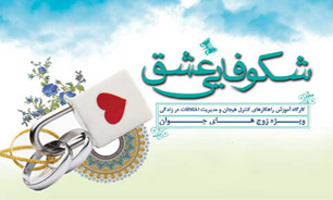 اخبار مناطق شهرداری تهران را در یک کلیک بخوانید؛ در حال بروز رسانی