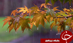رگبار باران در شمال غرب و شمال شرق کشور/ آسمان تهران نیمه ابری است
