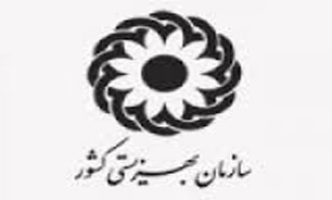 صدور مجوز برای 2 هزار مهدکودک بسیج خواهران /ساماندهی مهدهای کودک غیرمجاز