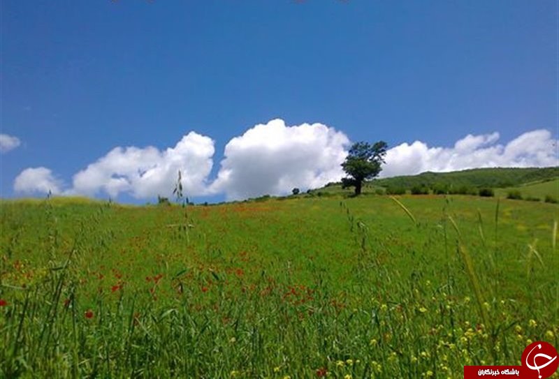 سیگار کشیدن در این روستا ممنوع