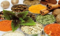 مستار، استثنایی ترین گیاه خراسان جنوبی