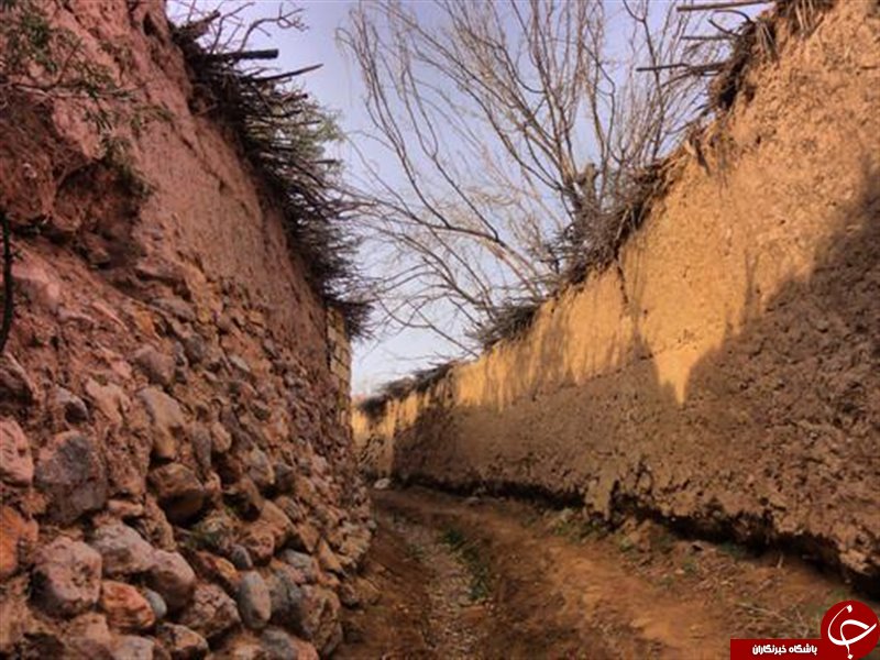 لذت دیدن از کوچه باغ&zwnj;های کویری + تصاویر