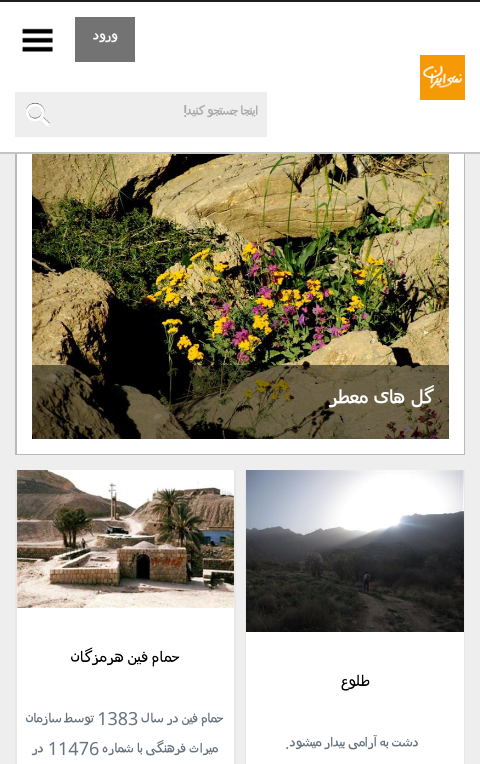 ایرانگردی