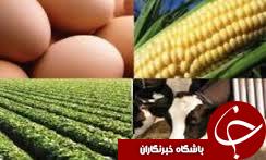 سیزدهمین نمایشگاه بین المللی صنعت دام و طیور در گلستان