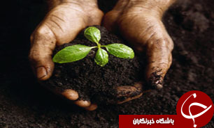 ساخت ویلا به جای کاشت گیاه   /// خانم علینژاد بخواند