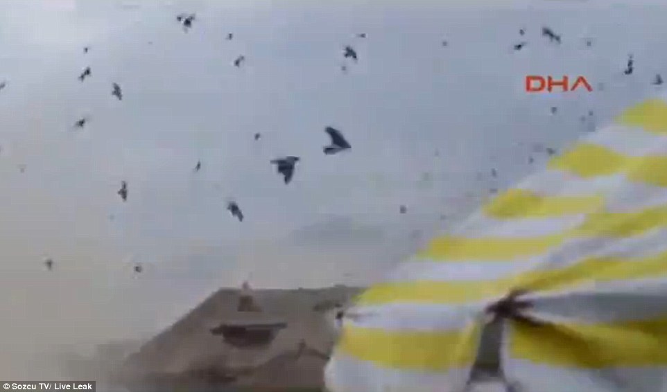 پرواز دلهره&zwnj; آور پرندگان در لحظه وقوع زلزله نپال + عکس