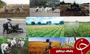 آغاز خرید توافقی محصولات کشاورزی