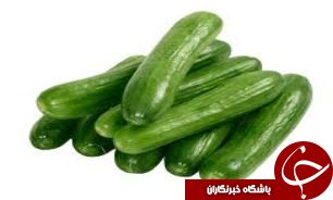 افزایش 15 درصدی کشت خیار در شهرستان ایرانشهر
