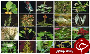 برگزاری سمپوزیوم بین&zwnj;المللی 
