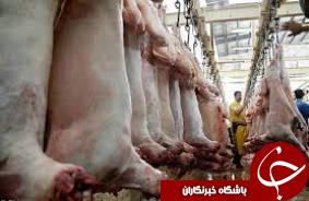 کشتارگاه های غیر مجاز پلمپ شدند