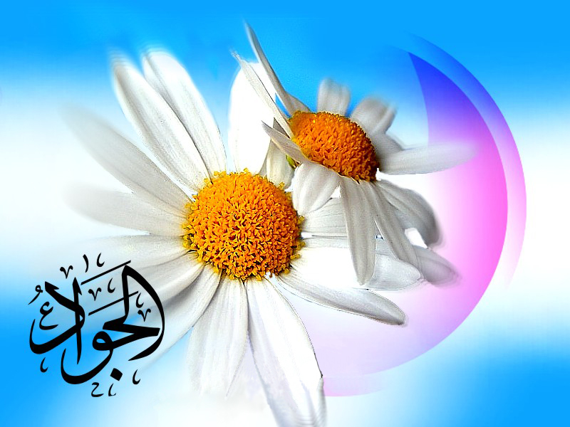 بسته والپیپرهای امام جواد ( ع) +دانلود