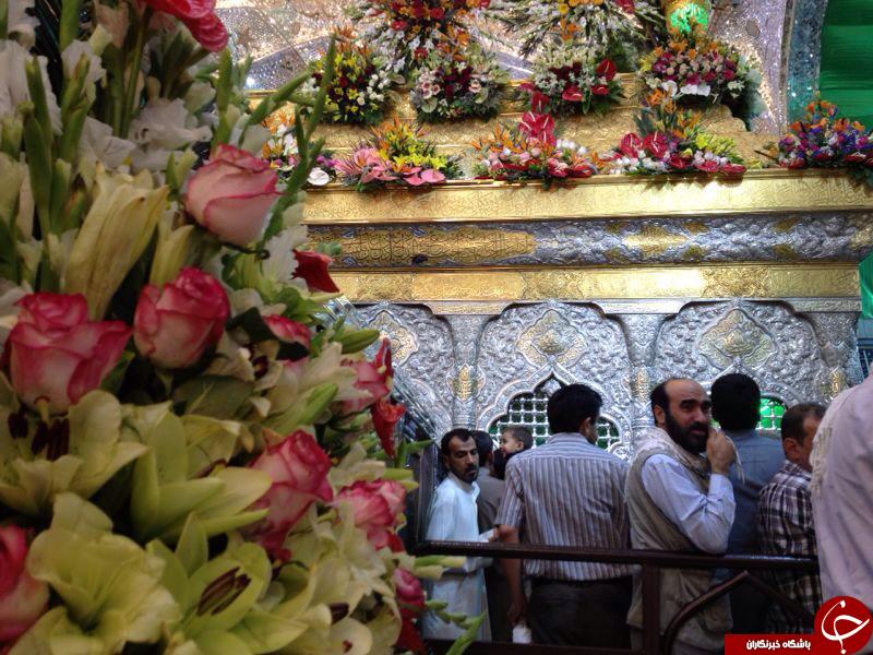 تصاویر اختصاصی باشگاه خبرنگاران از گل آرایی ضریح امام حسین(ع)