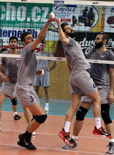 74 نما از سرو&zwnj; قامتان ایران در چک!