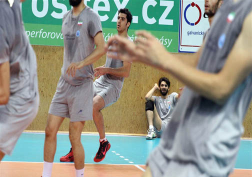 74 نما از سرو&zwnj; قامتان ایران در چک!
