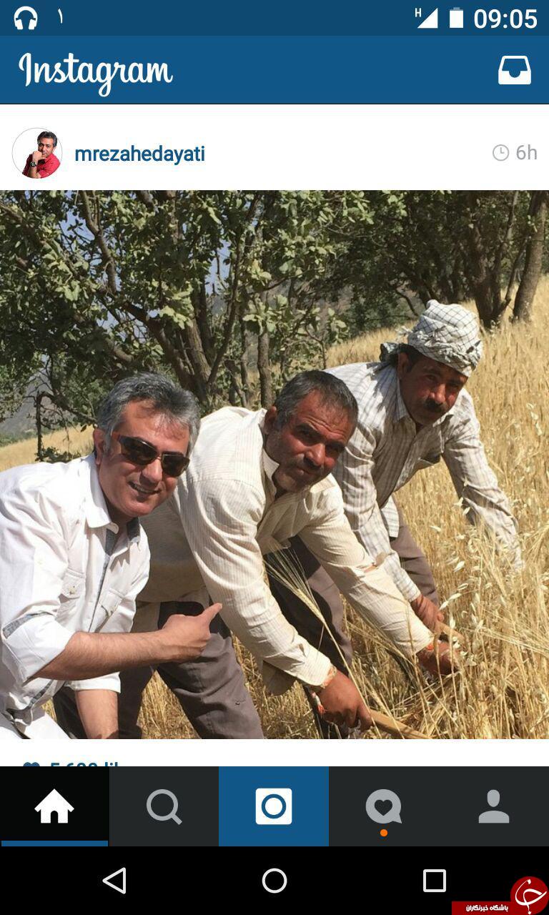 محمد رضا هدایتی در زمین کشاورزی+عکس