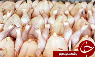 بهره‌برداری از یک واحد 20  هزار قطعه‌ای مرغ گوشتی در جیرفت