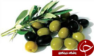 سبقت غیر مجاز اجرا از تحقیقات/ زیتون‌کاران، باغداران داغدار