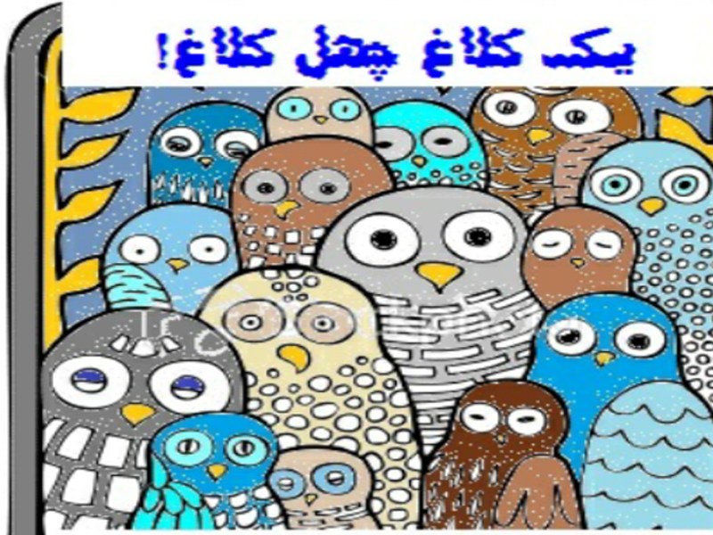 برنامه یک کلاغ و چهل کلاغ