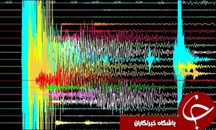 بوشهر لرزید