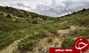جنگلكاري 750 هکتار در خراسان شمالی