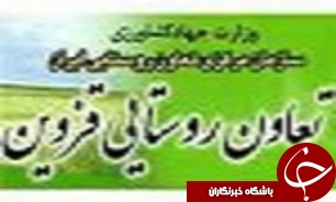 فعالیت 206 فروشگاه مصرف تعاونی در روستاهای قزوین