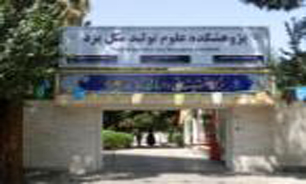 دومین دانشجوی دکترای بیولوژی تولیدمثل در پژوهشکده علوم تولیدمثل یزد فارغ التحصیل شد