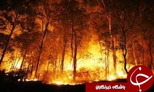 آتش سوزی جنگلهای مازندران با گرمای نادر بهاری