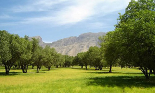 طرح جامع کاداستر در کشور اجرا می شود
