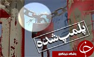 معدوم‌سازی 1080 کیلوگرم فرآورده خام دامی فاسد در تاکستان