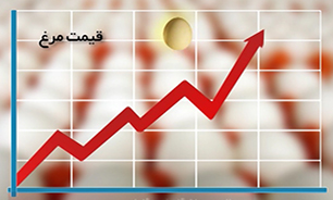 اول مرغ با تخم مرغ دچار افزایش قیمت می شوند + فیلم