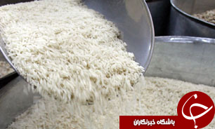 به دنبال ایجاد انحصار در واردات برنج نیستیم/ لزوم تجدیدنظر در تعرفه‌ها