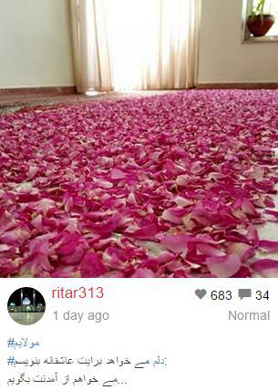 تصاویر ارسالی مخاطبان باشگاه خبرنگاران از جشن میلاد موعود