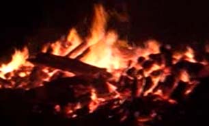 آتش‌سوزی در کارخانه نکا چوب + فیلم
