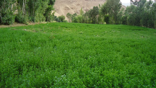 4 جای دیدنی ایرانی که نامشان را نشنیده اید