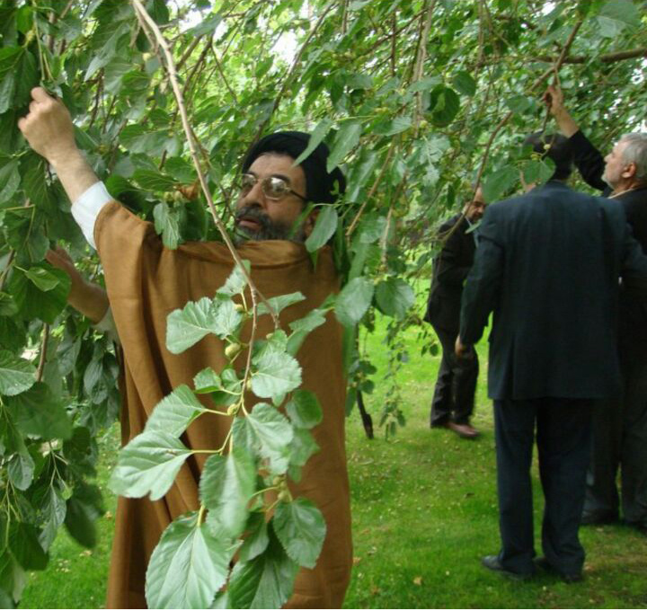 وزیر کشور اصلاحات در حال توت خوری + تصویر