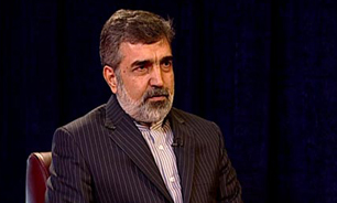 کمالوندی: بدون تحریم یا با تحریم مسیر انقلاب رو به جلو خواهد بود