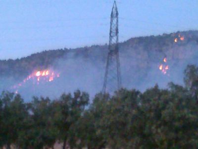 گردشگران آتش به جان جنگل انداختند// در حال کار