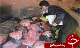 كشف و معدوم سازی بیش از 2 تن خمير مرغ فاسد