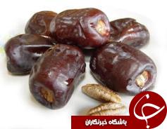 صادرات خرما از مرز یک میلیون کیلوگرم گذشت