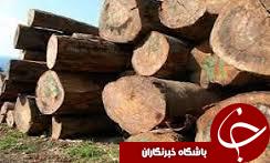 کشف و ضبط بیش از هشت هزار اصله چوب قاچاق در آستارا