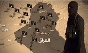 سناتور زینک: واشینگتن درباره تلفات داعش دروغ می‌گوید