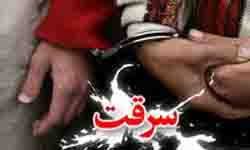 ردپای خودروی سرقتی ایلام وبندرعباس در کهنوج/ مالخر اشیا سرقتی سارقان منزل راور  را لو داد