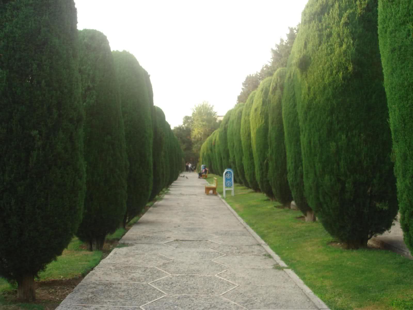 موسس پارک ساعی که بود+عکس