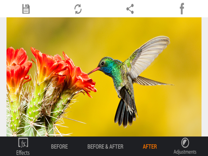 معرفی برنامه HDR FX Photo Editor Pro + دانلود