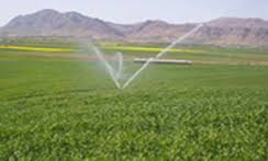 اجرای آبیاری تحت فشار در ۲هزار هکتار از اراضی کشاورزی خراسان شمالی