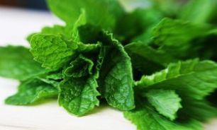 مضرات عرق نعنا برای زخم معده