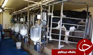تعاونی گاوداران بویین زهرا شرکت دانش بنیان برتر قزوین